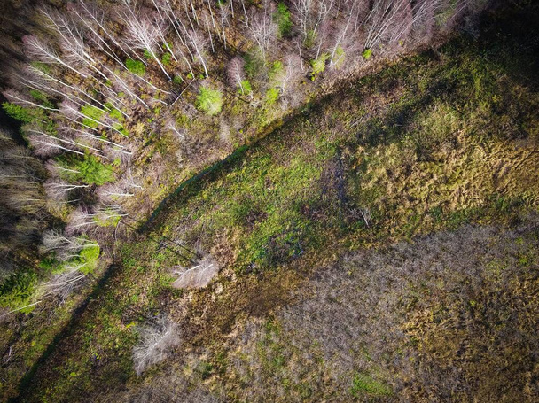 High angle shot of a field with partially gone dry because of changes in weather - Photo, Image