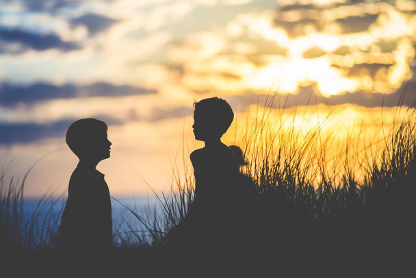 Silhouette of children talking to each other near the grassy field with a blurred background - Photo, image