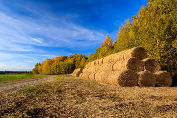 Haystacks em campo na temporada de outono
. - Foto, Imagem