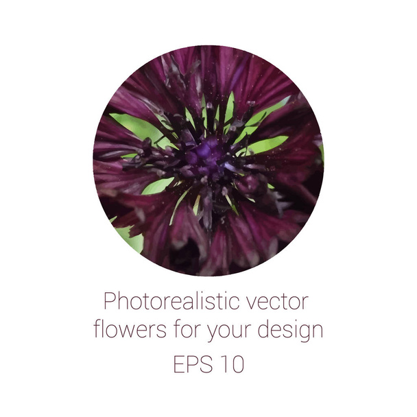 Fotorealistický květ v kruhu, vektorová ilustrace - Vektor, obrázek