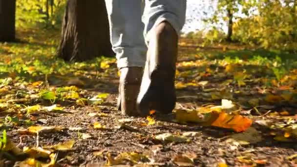 дівчина ноги ходять на золотому килимі в сонячному лісі низька дуга постріл
 - Кадри, відео