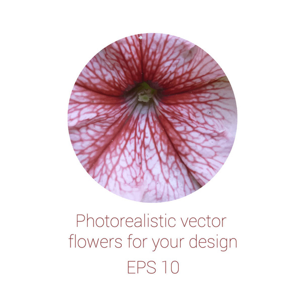 Çemberdeki fotorealistik çiçek, vektör illüstrasyonu - Vektör, Görsel