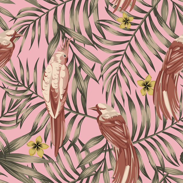 Brown tropical birds pink background - Wektor, obraz