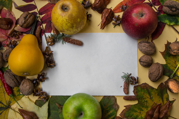 White paper for text, copy space, beautiful fallen leaves, pods, fruits in the background, flat lay fall composition, notebook top view - Photo, Image
