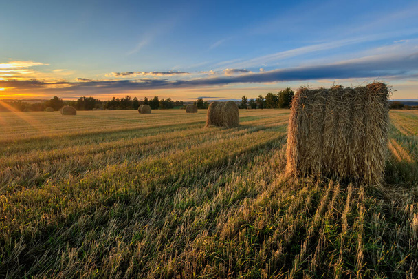 Haystacks sur le terrain à la saison d'automne
. - Photo, image