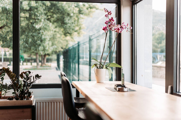 Interior design, cafe. Table with flower by the window - Zdjęcie, obraz