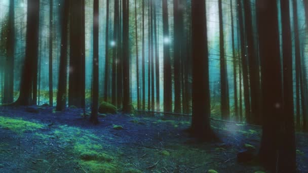 Zaczarowany magiczny las z bajkowymi światłami poruszającymi się  - Materiał filmowy, wideo