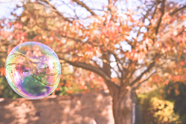 Enfant jouant dehors dans un jardin pendant la journée avec des bulles h
 - Photo, image