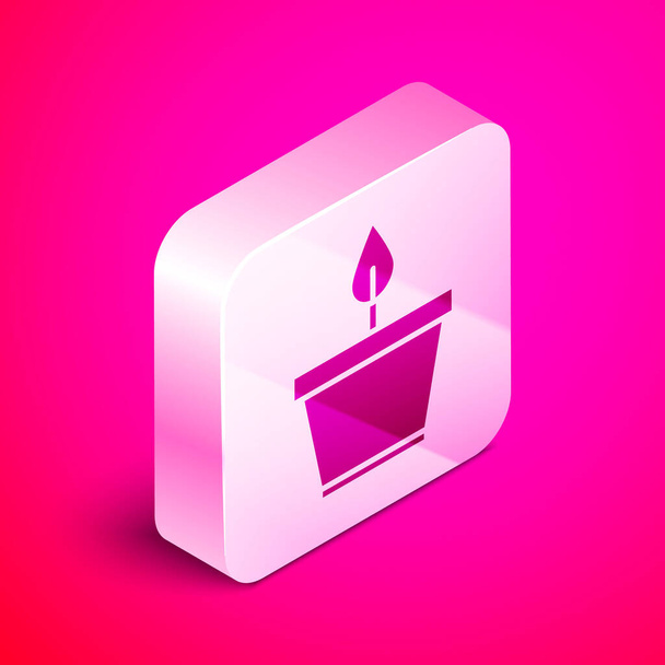 Isometric Plant in pot icon isolated on pink background. Plant growing in a pot. Potted plant sign. Silver square button. Vector Illustration - Вектор,изображение