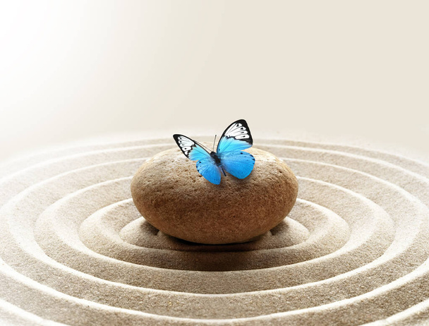 zen tuin meditatie steen achtergrond en vlinder met stenen en lijnen in het zand voor ontspanning balans en harmonie spiritualiteit of spa wellness - Foto, afbeelding