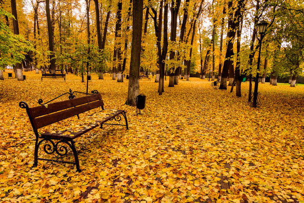 Pád listí v parku na podzim s lavičkou. - Fotografie, Obrázek