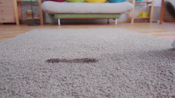 fiatal nő sétál át a szőnyegen, és hagy egy piszkos nyomot - Felvétel, videó