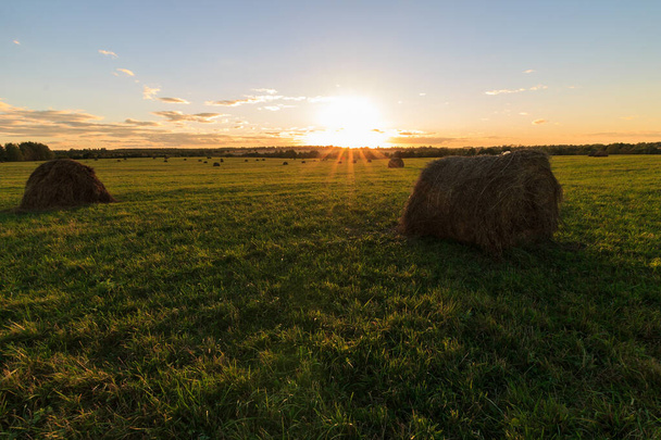 pole se stohy sena při západu slunce na začátku podzimu - Fotografie, Obrázek