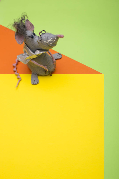 Rat - peluche en laine feutrée sur fond coloré
 - Photo, image