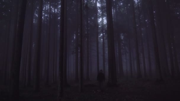 Tourist with black jacket wandering in deep foggy woods - Footage, Video