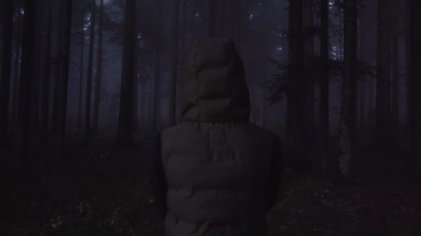 Angsttouristen verloren sich in Wäldern. Verlorene Person versucht Kontakt mit Handy-Konzept aufzunehmen - Filmmaterial, Video