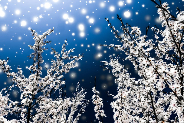Χριστούγεννα, Πρωτοχρονιά μπλε floral φόντο, διακόσμηση καρτών διακοπών - Φωτογραφία, εικόνα