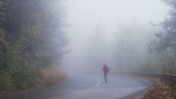 迷子の観光客は、雨の日に不気味な霧の森の中をさまよっている - 映像、動画
