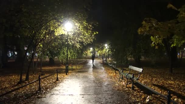 A lány egyedül sétál a parkban éjszaka (4k, 25fps) - Felvétel, videó