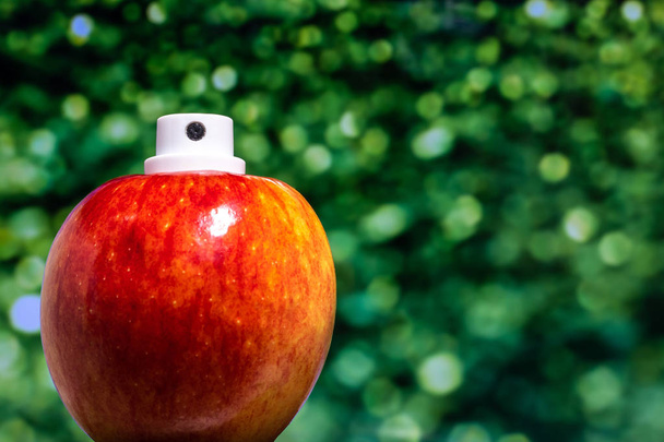 ein Apfel in Form eines natürlichen Deo-Lufterfrischers. - Foto, Bild