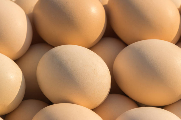 Ruskeat kananmunat, jotka on asetettu markkinoille, myymälään, supermarkettiin
 - Valokuva, kuva
