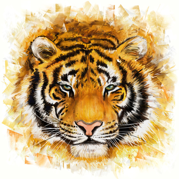Tigre selvatica
 - Foto, immagini