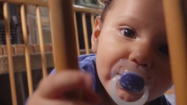 Curly brown-eyed baby boy with a pacifier - Materiał filmowy, wideo