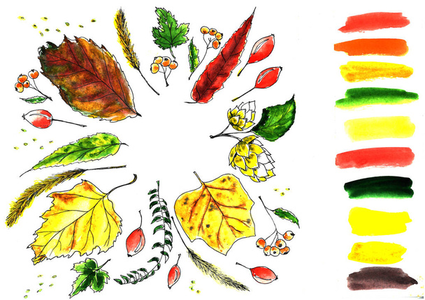 Watercolor autumn nature set. Watercolor season wallpaper illustration. - Valokuva, kuva