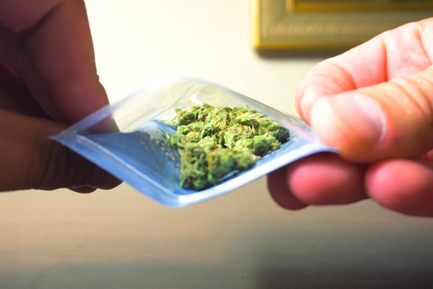 Small dried cannabis inflorescence. Dope marijuana from hemp inflorescences. - Φωτογραφία, εικόνα