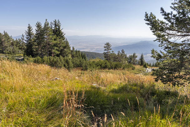 Őszi táj Vitosha Mountain, Bulgária - Fotó, kép