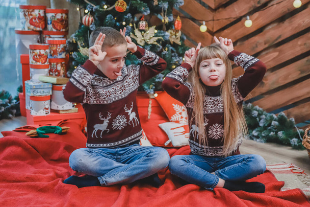 Grimacing kids in woolen sweaters show big ears with their hands and put tongues out on wooden background with christmas tree. - Zdjęcie, obraz
