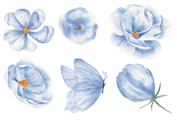 Blue butterfly and blossoms watercolor raster illustration set - Photo, image