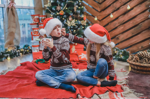 Funny brother and sister drinking hot chocolate and making fun in a cozy living room on Christmas eve. - Fotó, kép