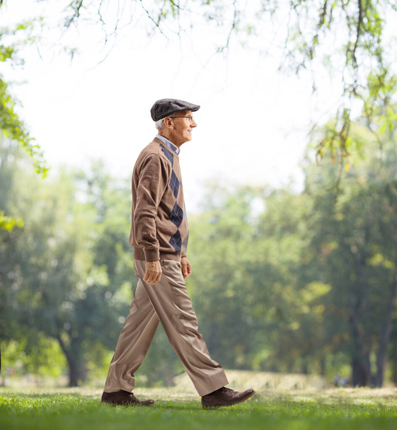 Elderly gentleman walking in a park on a green grass - Fotoğraf, Görsel