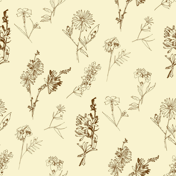 Seamless pattern with Wild Flowers with Summer Botanical Sketches - Vektori, kuva
