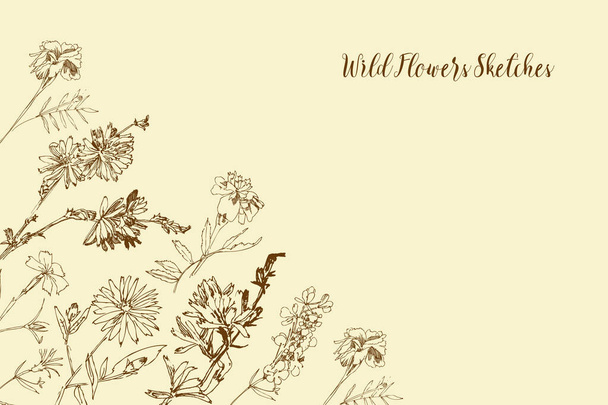 Wild Flowers Sketches. Botanical Hand Drawn Digital Illustration - Vector, Image