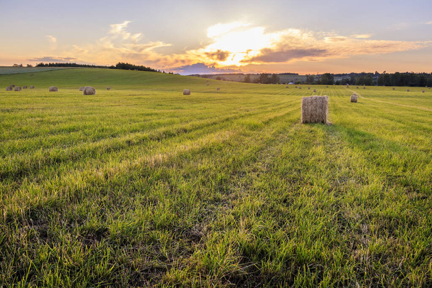 ein Feld mit Stapeln auf einem Sonnenuntergang. - Foto, Bild