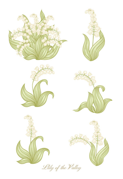Lily της κοιλάδας έγχρωμη απεικόνιση - Διάνυσμα, εικόνα