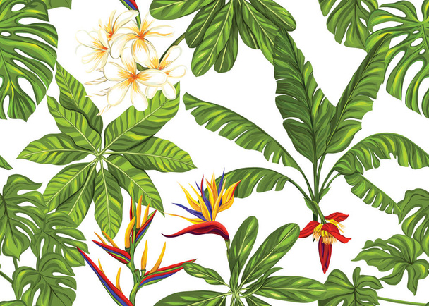 Seamless pattern, background with tropical plants - Vetor, Imagem