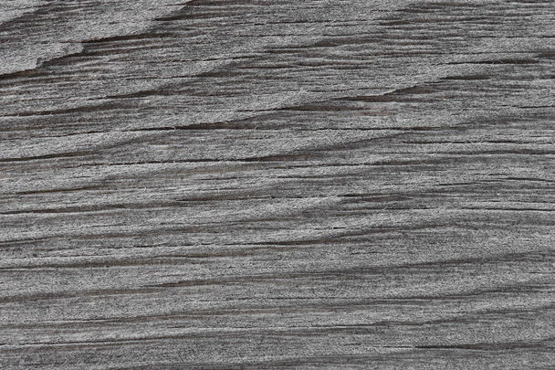 The gray surface of an old weathered wooden board. Horizontal wavy pattern of annual rings. Dark background or wallpaper. The picture is almost black and white. Close-up - Foto, Bild