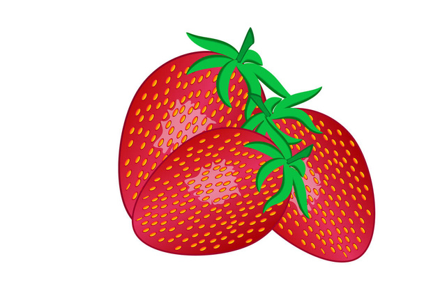 Trois fraises rouges avec des feuilles sur fond blanc
. - Vecteur, image