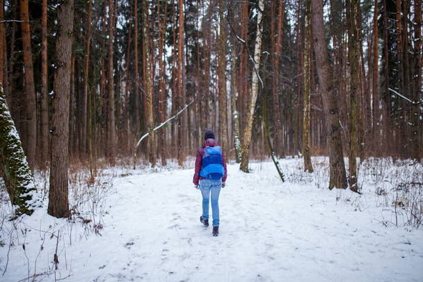 Zdjęcie z tyłu kobiety z plecakiem spacerującej po zimowym lesie w godzinach popołudniowych - Zdjęcie, obraz