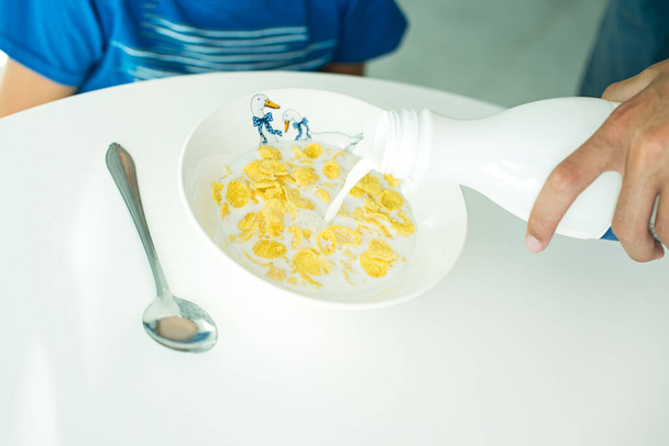 δημητριακά με γάλα σε λευκό πιάτο για πρωινό, χώρος για κείμενο, απομόνωση - Φωτογραφία, εικόνα