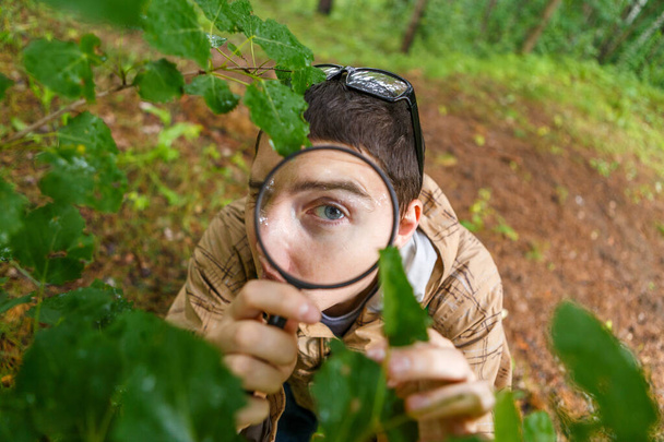 Фото молодого эколога с лупой в лесу в летний день
 - Фото, изображение