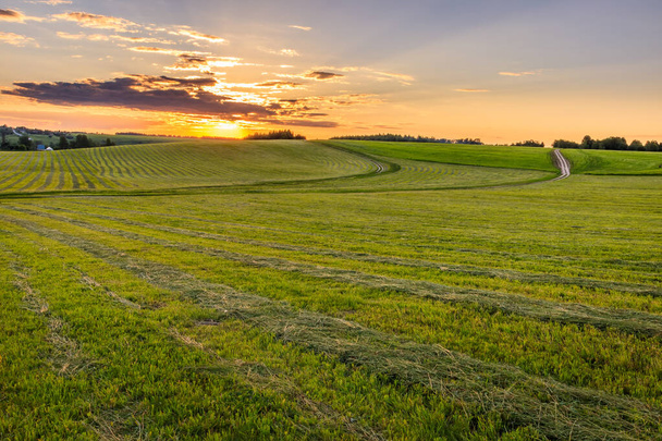 Východ slunce na obdělávané půdě na venkově v létě. - Fotografie, Obrázek