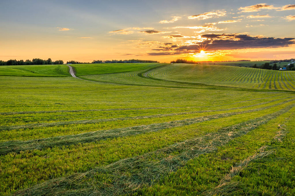 Zonsondergang op cultuurgrond op het platteland in de zomer. - Foto, afbeelding