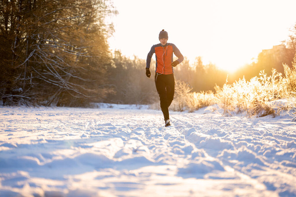 Photo de l'athlète de course parmi les arbres dans la forêt d'hiver le matin
 - Photo, image