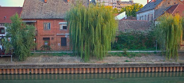 Wilgenbomen voor huizen aan een rivieroever - Foto, afbeelding