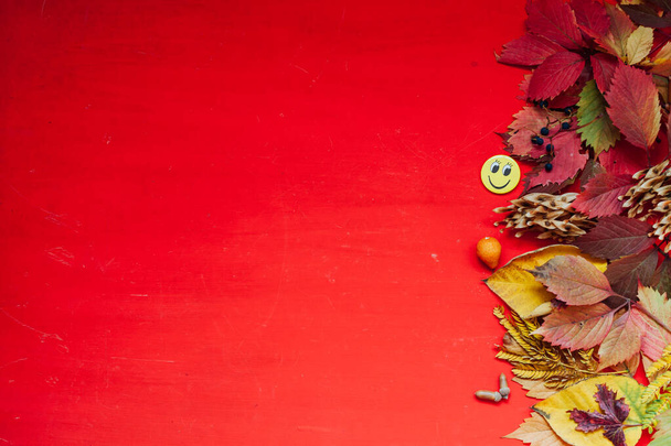 otoño fondo rojo y amarillo hojas caídas lugar para la inscripción
 - Foto, Imagen