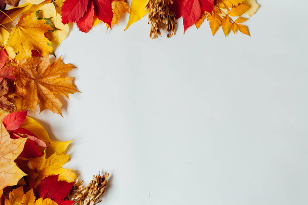 秋の背景赤と黄色の紅葉の碑文の場所 - 写真・画像